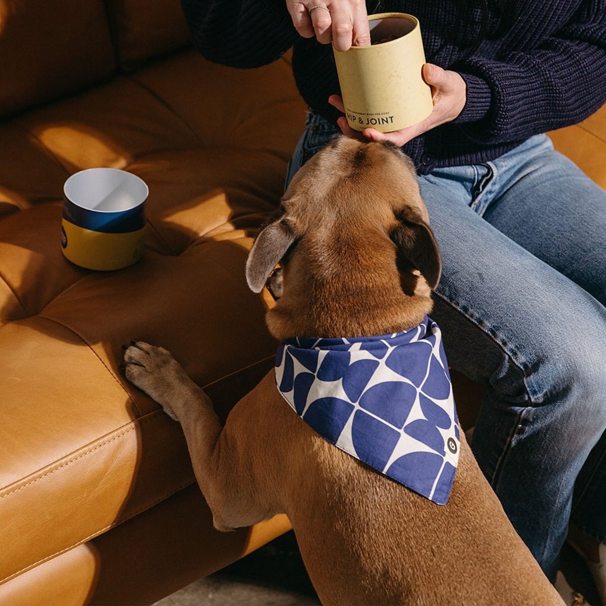 Good Trouble Combed Cotton Dog Bandana