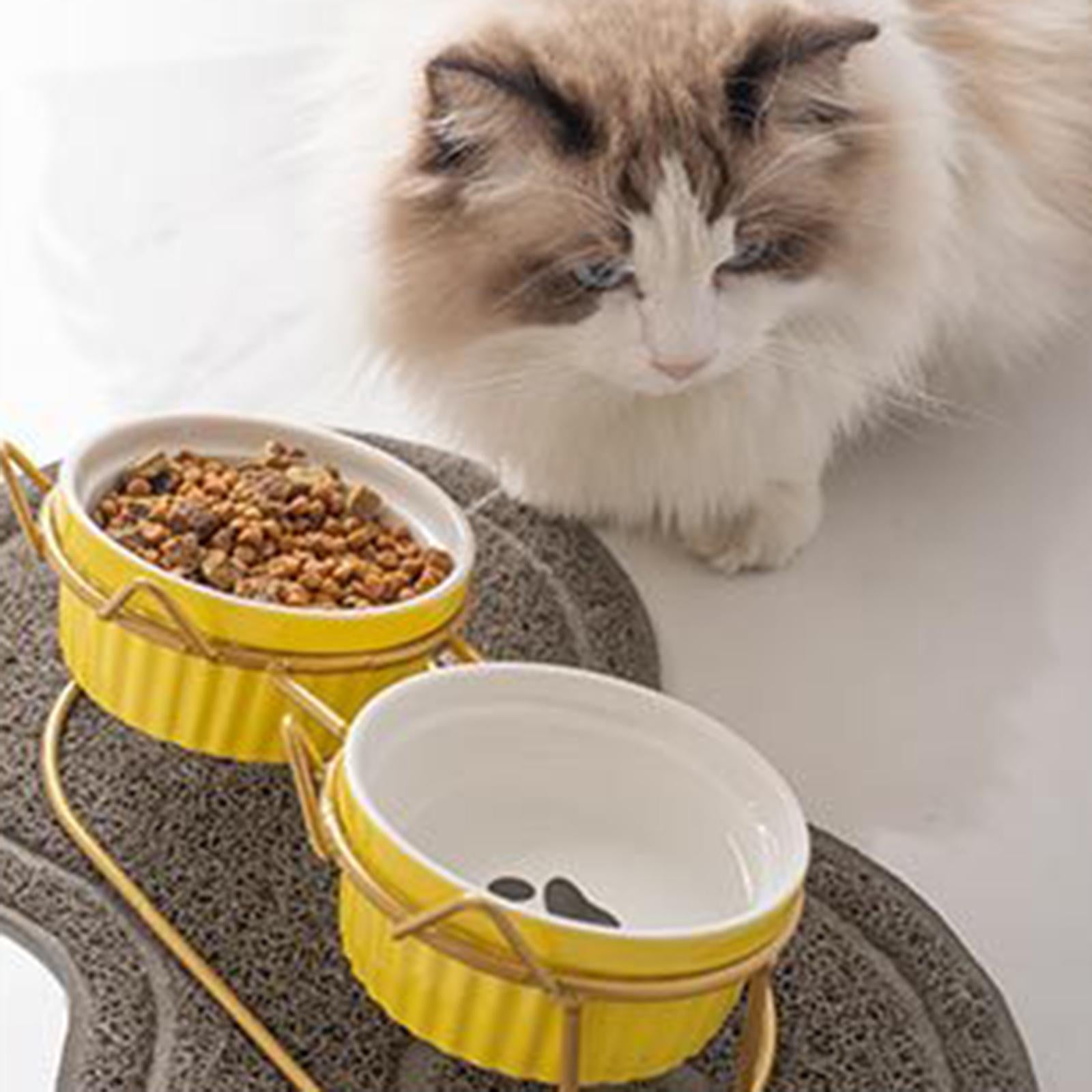 Cat Bowls Raised Iron Stuble Elevated