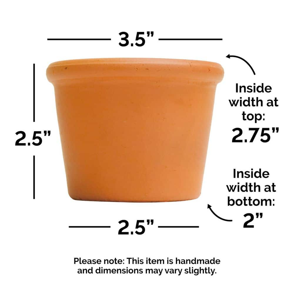 Pennington 3 in. Small Terra Cotta Clay Cylinder Pot 100544048