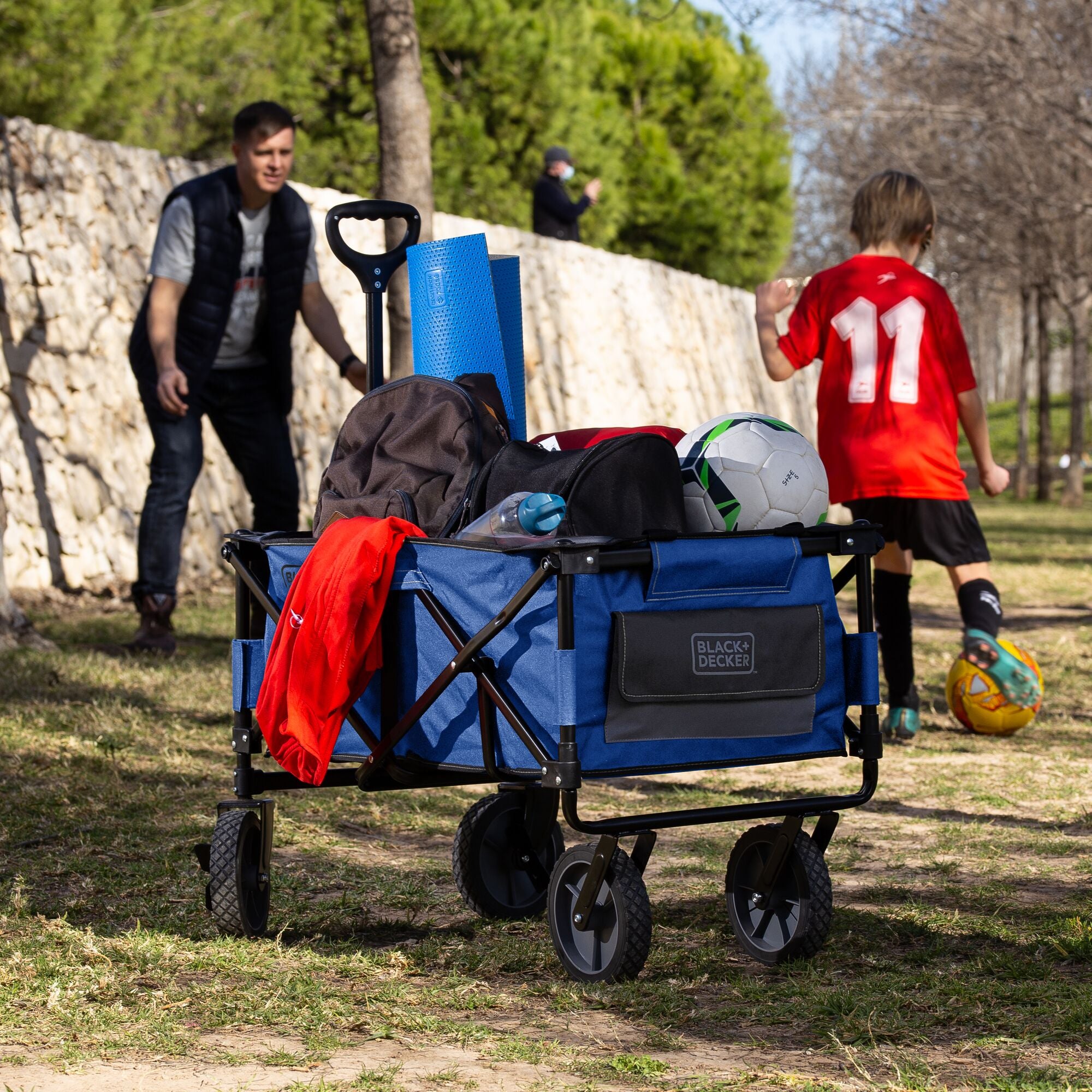 Collapsible Storage Cart, Folding Utility Wagon, Holds up to 176 lbs., Blue