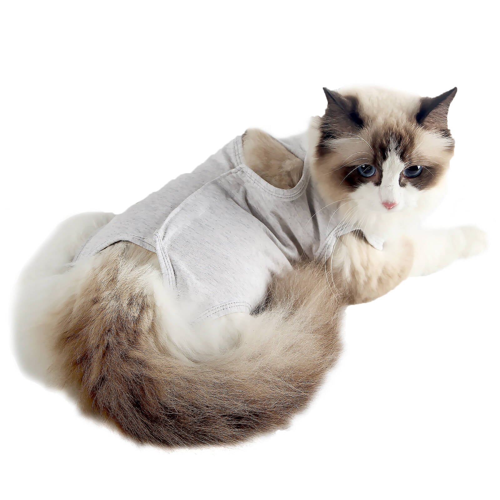 Dotoner Cat Recovery Suit for Abdominal Wounds or Skin Diseases， after Surgery Wear， E-Collar Alternative， Anti Licking Wounds Pajama Suit for Cats (L，light grey)