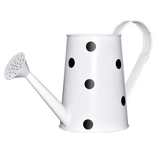 Home And Garden Decorative Water Cane Classic Design Most Popular Hot Selling Metal Water Can Affordable Price
