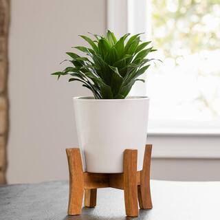 Southern Patio Contemporary Medium 8 in. x 11.02 in. 5 qt. White Ceramic Indoor Planter With Wood Stand CRM-049388