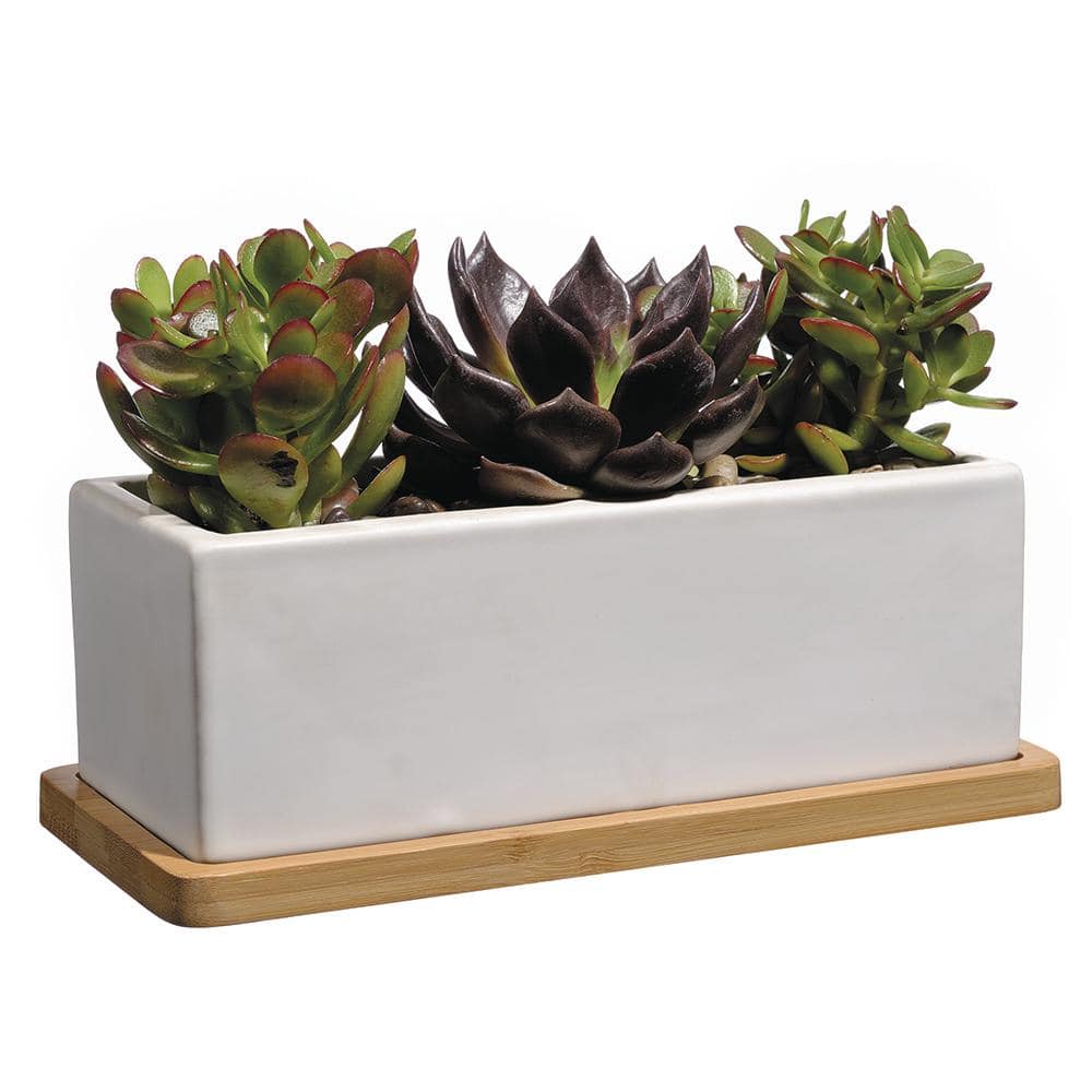 Nova 8.5 in. White Ceramic Rectangle Planter with Tray HD1138-089