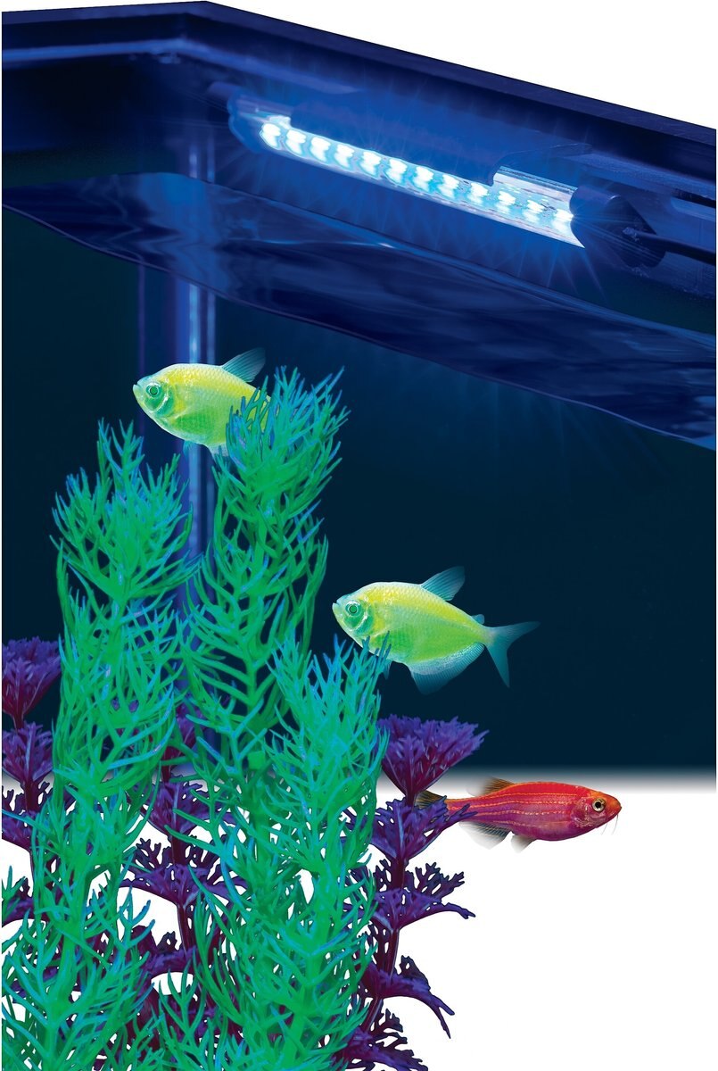 Tetra Care GloFish 6\