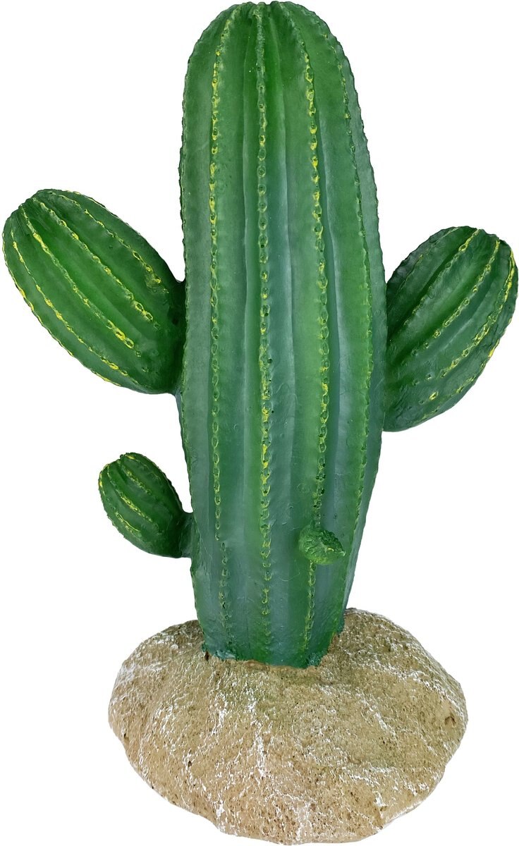 Komodo Cactus Saguaro Reptile Ornament， Green