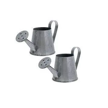 Customized Gardening Flowers Long Spout Water Kettle Galvanized Power Coated Metal Watering Can Garden