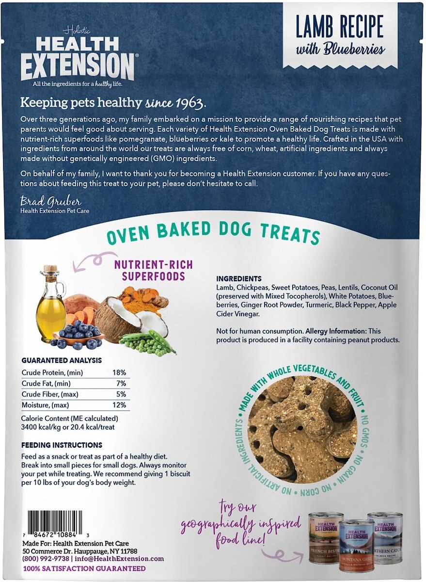 Health Extension Grain-Free Oven Baked Lamb Recipe with Blueberries Dog Treats