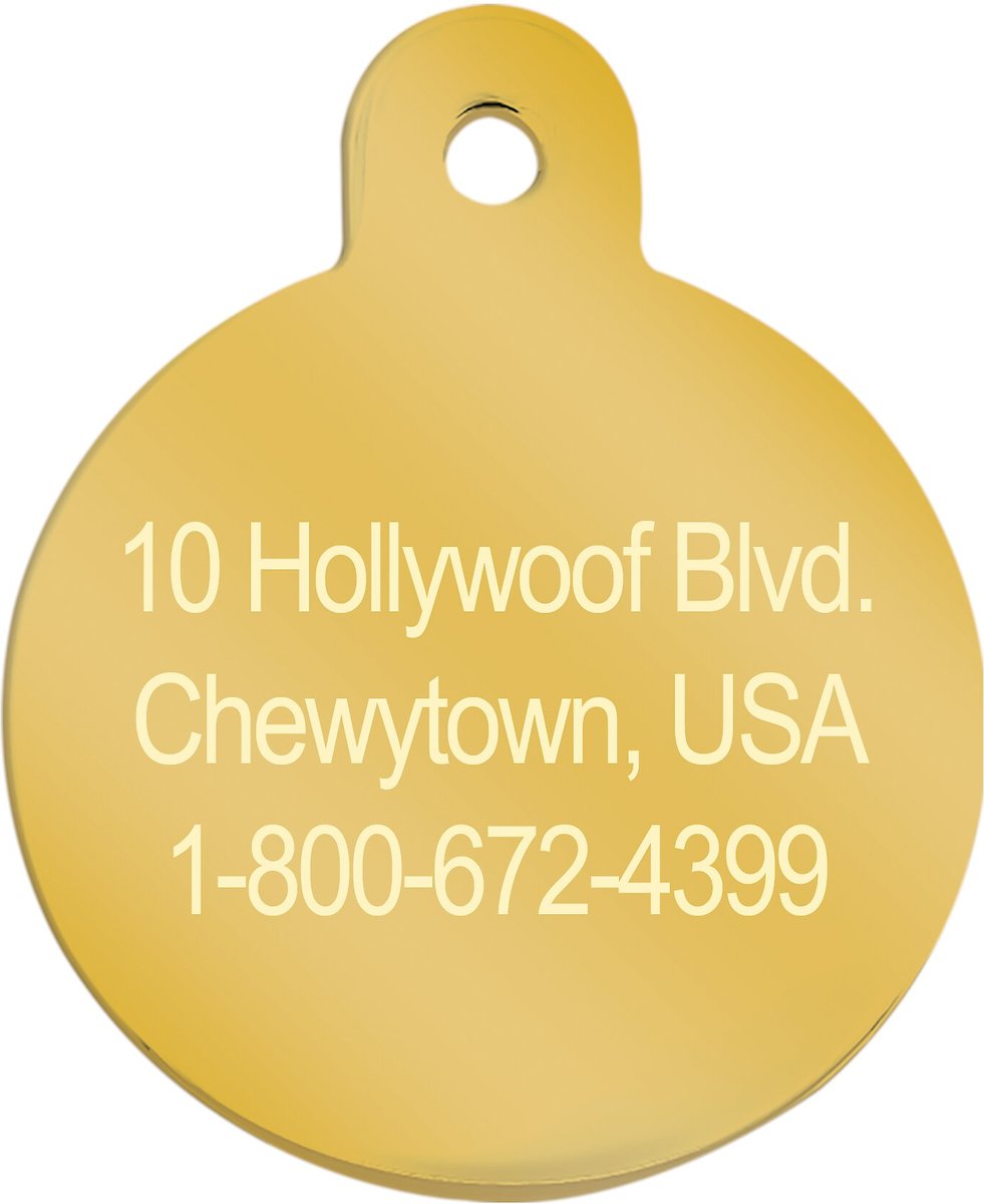 Quick-Tag Personalized Dog and Cat ID Tag， Metallic Gold