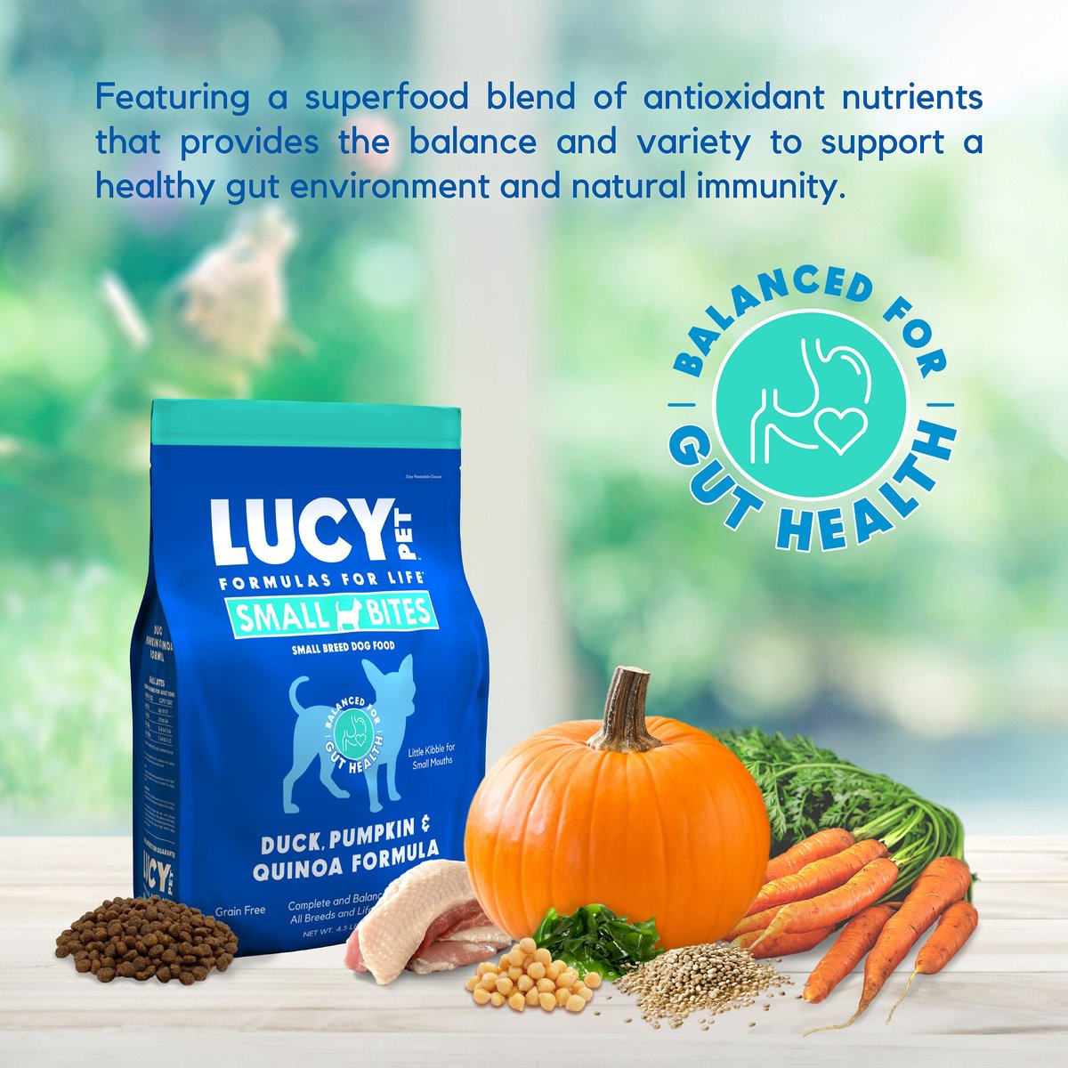 Lucy Pet Products Duck Pumpkin and Quinoa Small Bites Dog Food， 4.5-lbs bag