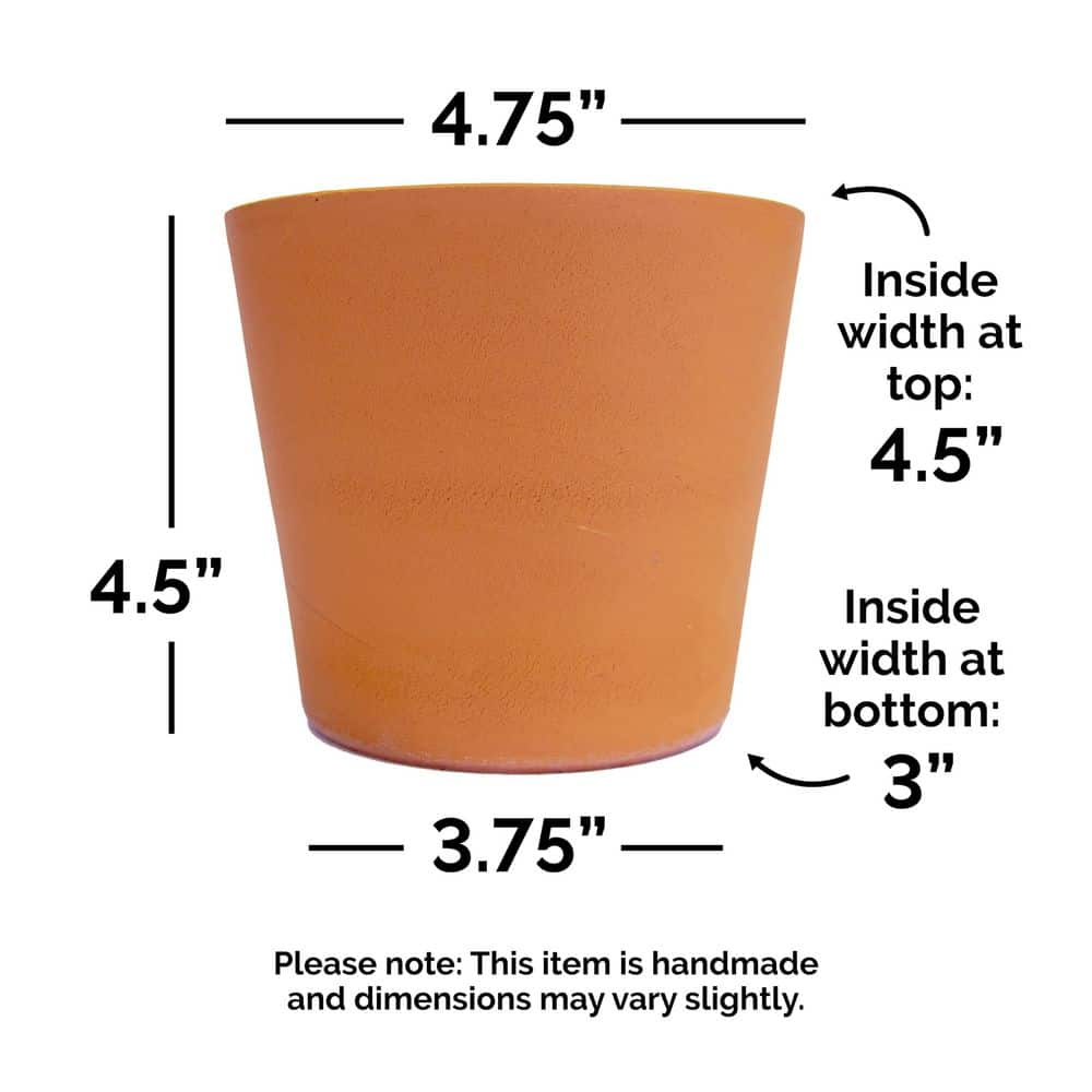 Pennington 4.5 in. Small Cabo Flair Terra Cotta Clay Pot 100523385