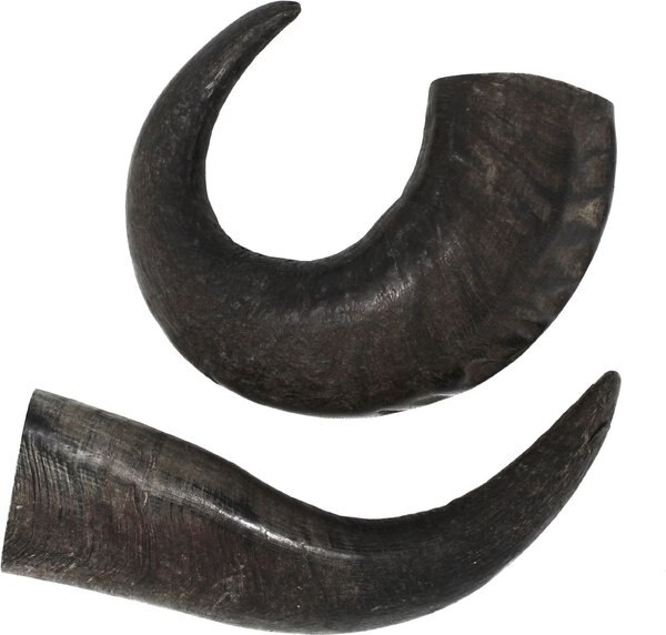 peaksNpaws All natural premium Large Dog Water Buffalo Horns Treat