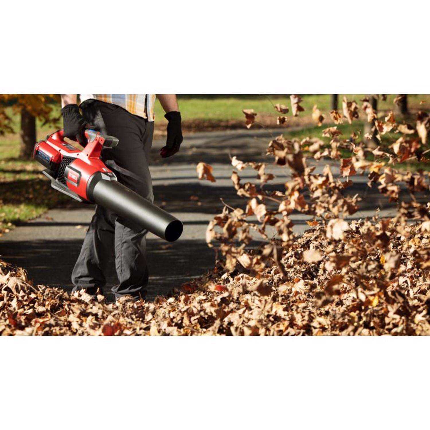 Toro 51881 13 in. 60 V Battery Blower/Trimmer Kit (Battery and Charger)