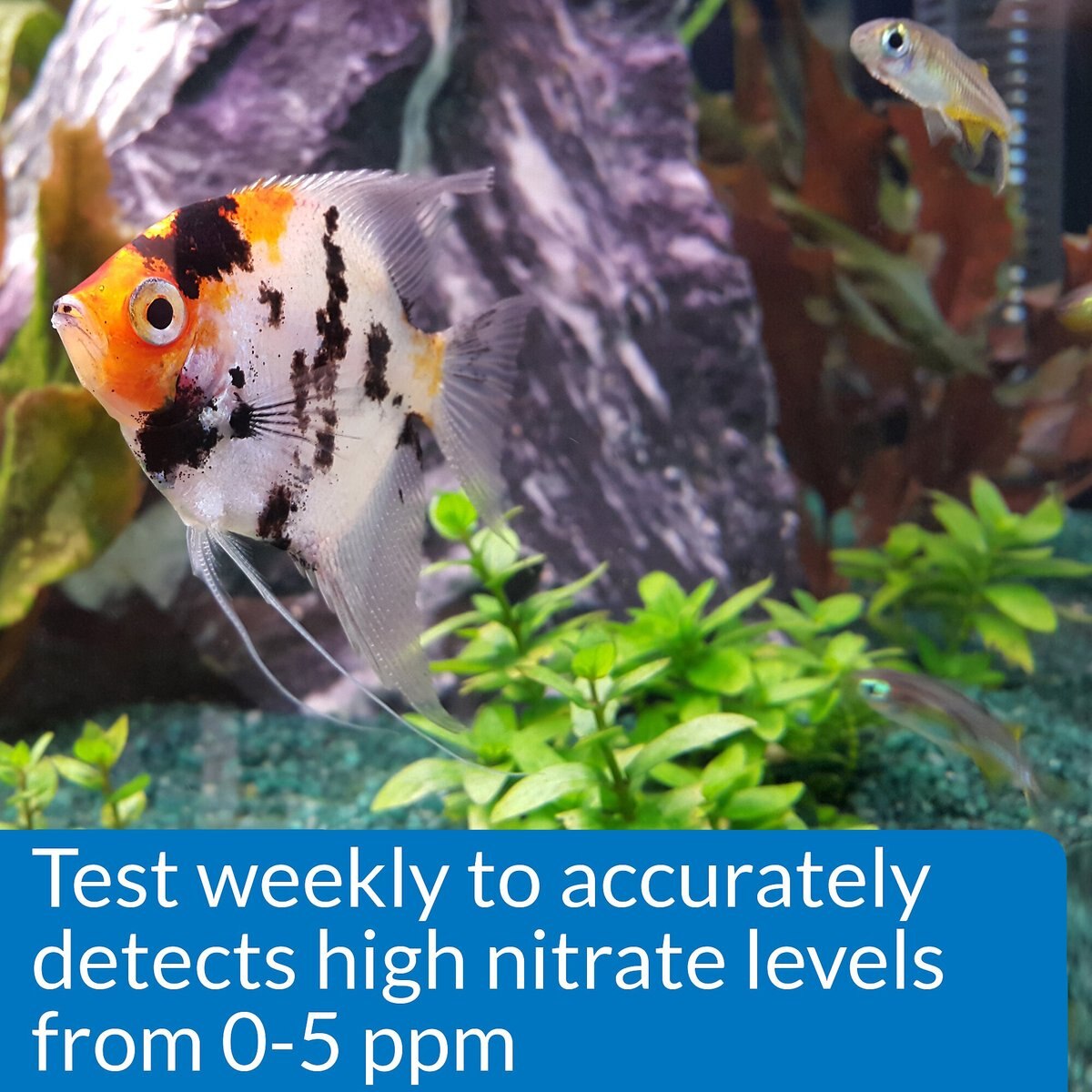 API Nitrite NO2 Fresh and Salt Water Aquarium Test Kit