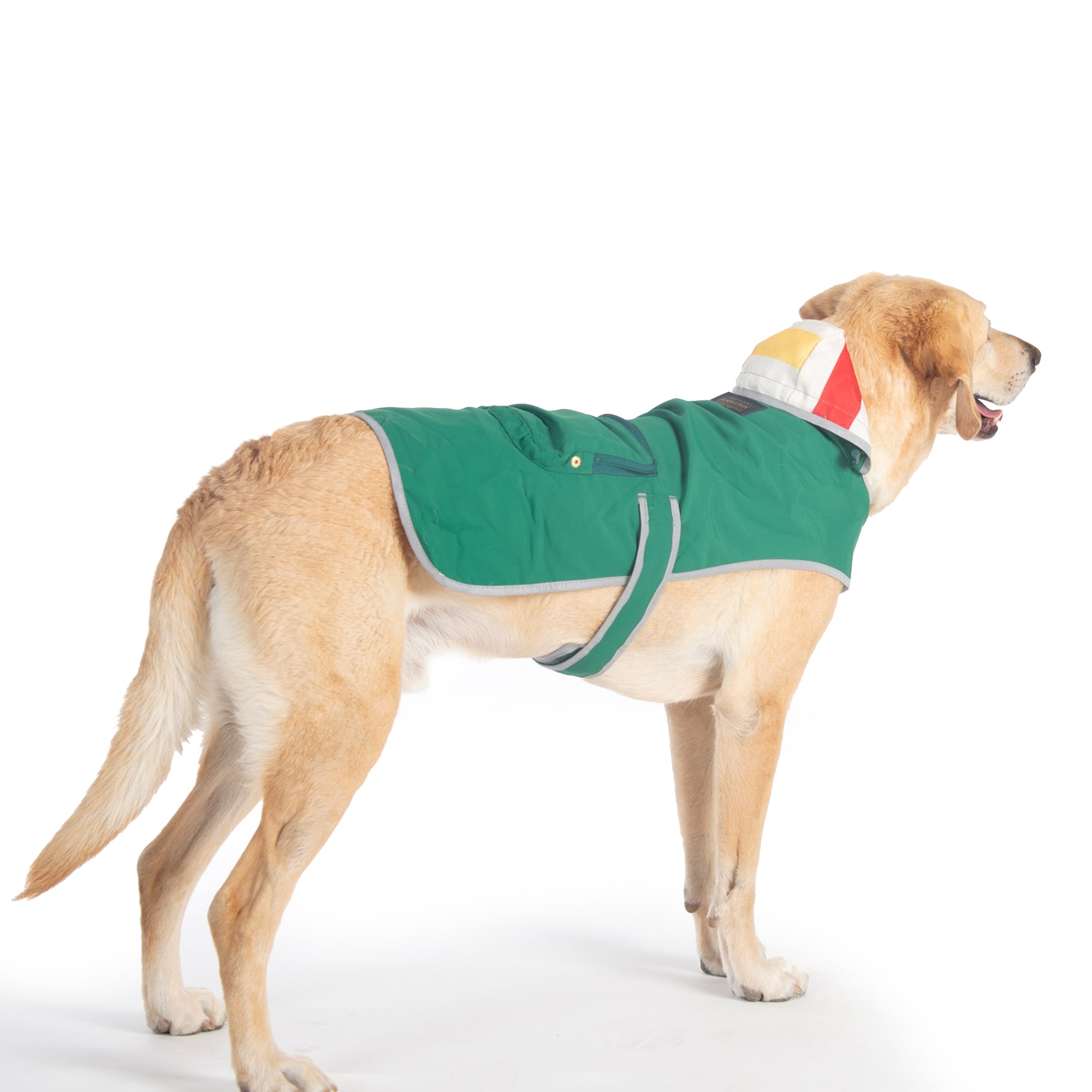 Pendleton Green Dog Rain Coat， X-Small