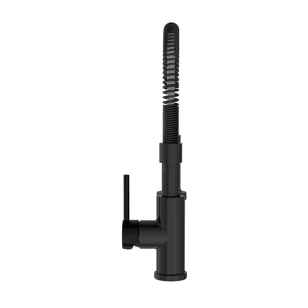 PRIVATE BRAND UNBRANDED Cartway Single-Handle Spring Pull-Down Sprayer Kitchen Faucet in Matte Black D005O