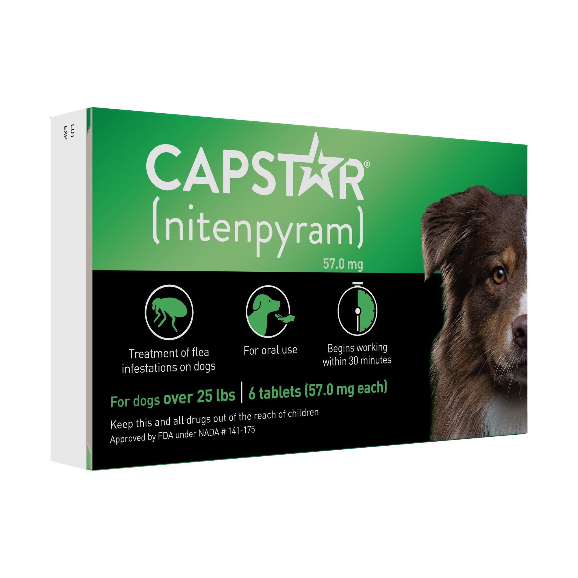 Capstar Flea Tablets for Dogs over 25 lbs.， Count of 6