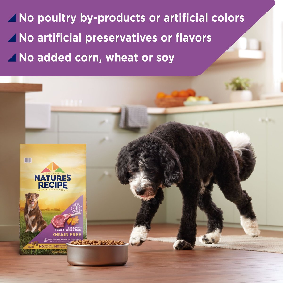 Nature's Recipe Grain-Free Lamb， Sweet Potato and Pumpkin Recipe Dry Dog Food