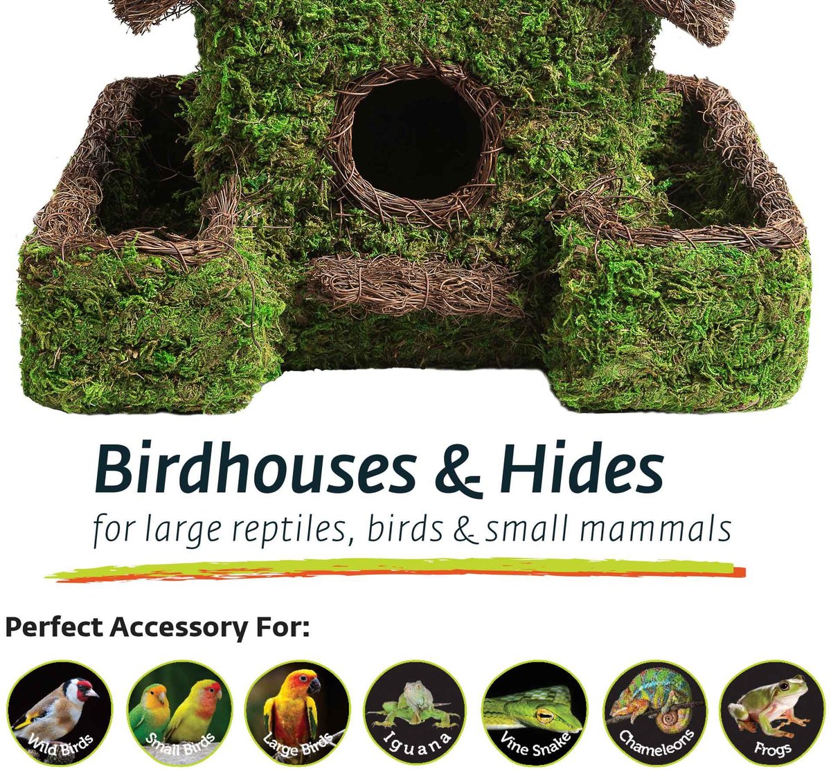 Galapagos Plantable Maison Patio Birdhouse， Fresh Green