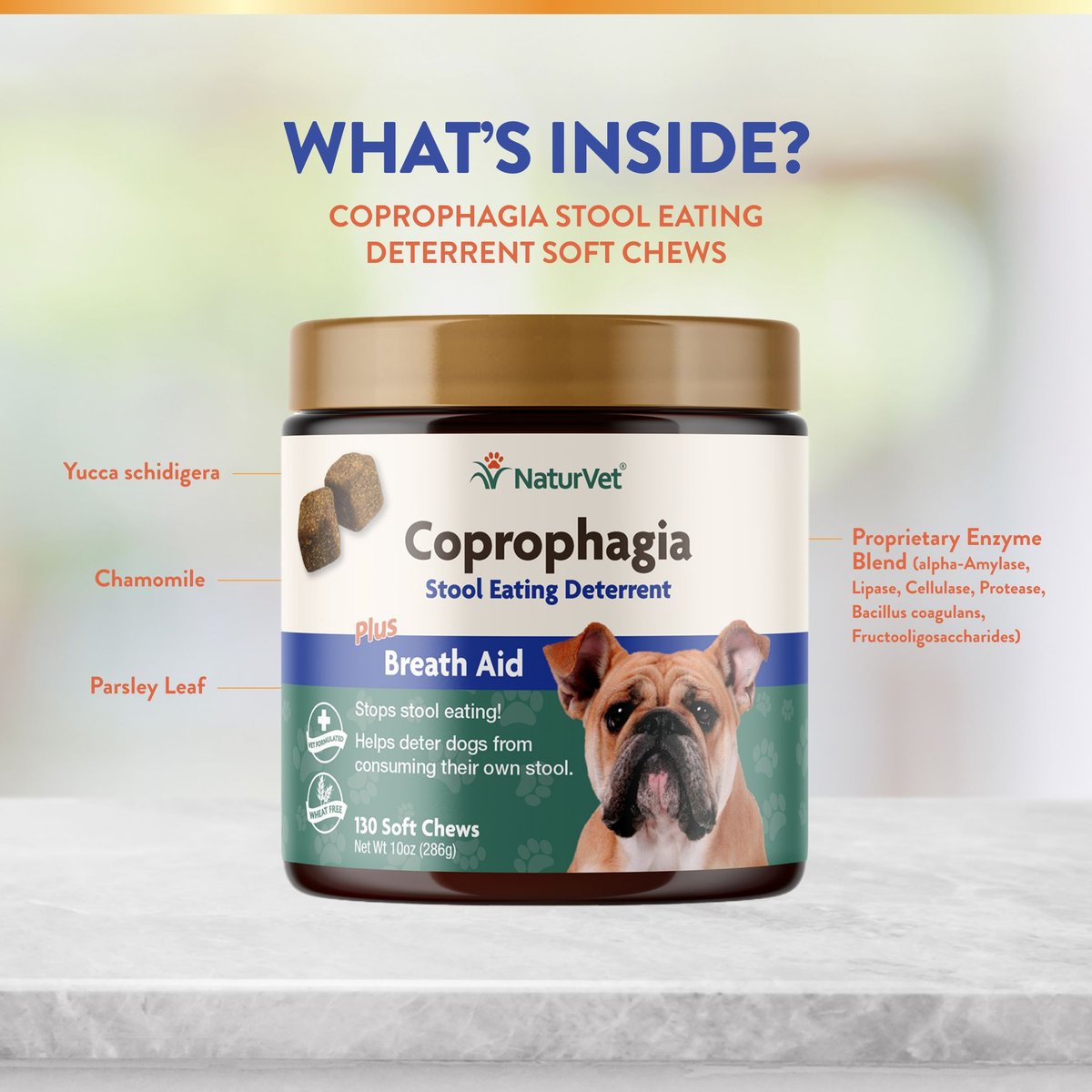 NaturVet Coprophagia Plus Breath Aid Soft Chews Coprophagia Supplement for Dogs