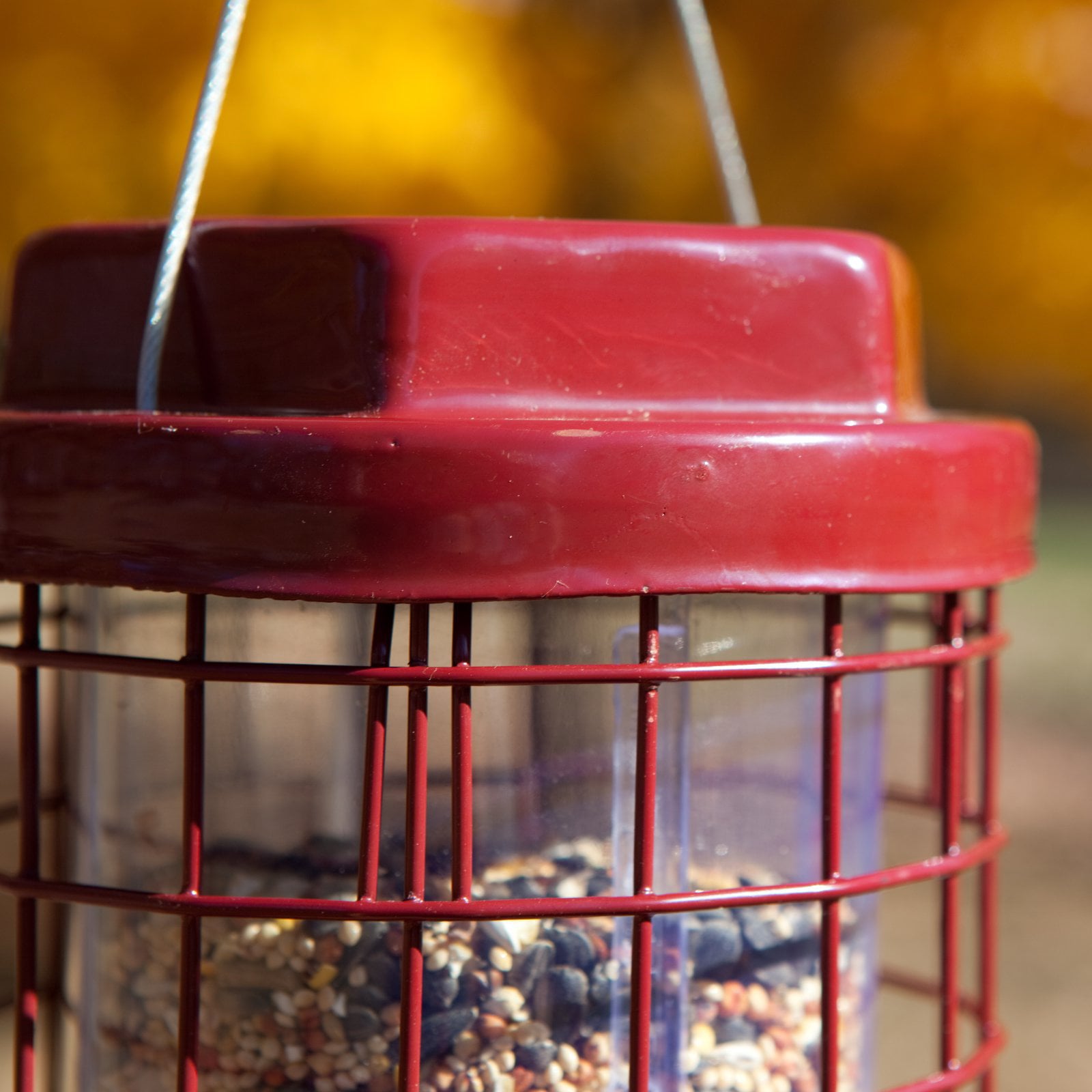 Perky-Pet Red Squirrel Resistant Easy Wild Bird Tube Feeder - 4 lb