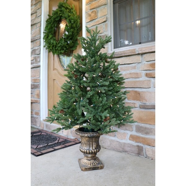 Fraser Hill Farm 4.0' Noble Fir Potted Tree