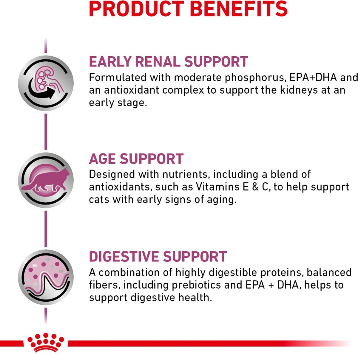 Royal Canin Veterinary Diet Adult Renal Support Early Consult Loaf in Sauce Canned Dog Food