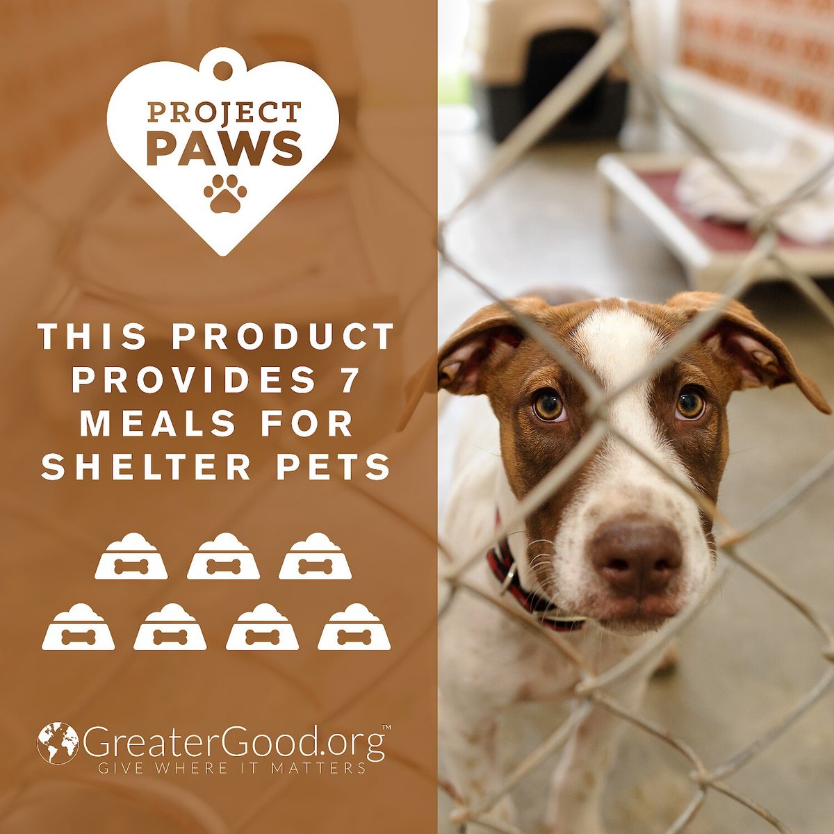 Project Paws Premium Grade Bone Broth Dog Powder Supplement Food Topper