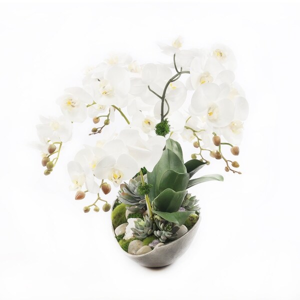 Cream White Real Touch Phalaenopsis Orchids in Large Metal Tray