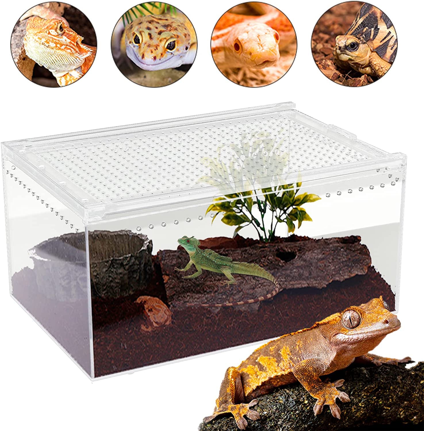 CNCEST 2.5 Gallon Reptile Breeding Box Terrarium Cage Large Magnetic Acrylic Enclosure