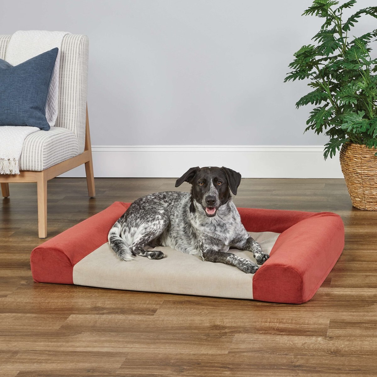 Midwest Signature QuietTime Memory Foam Dog and Cat Bed Sofa