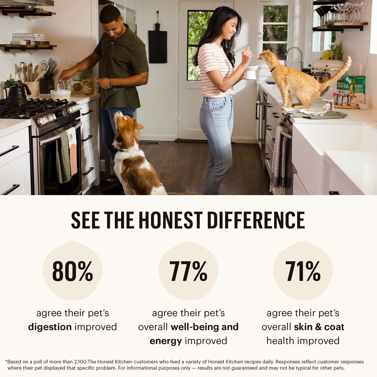 The Honest Kitchen Grain-Free Chicken Whole Food Clusters Dry Dog Food