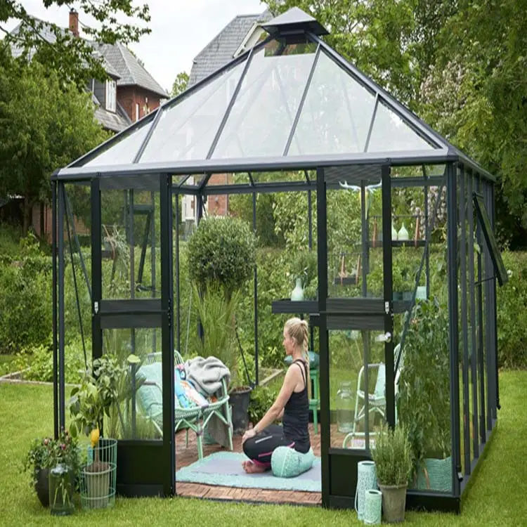 Polycarbonate Greenhouse Natural Aluminum Garden Greenhouse