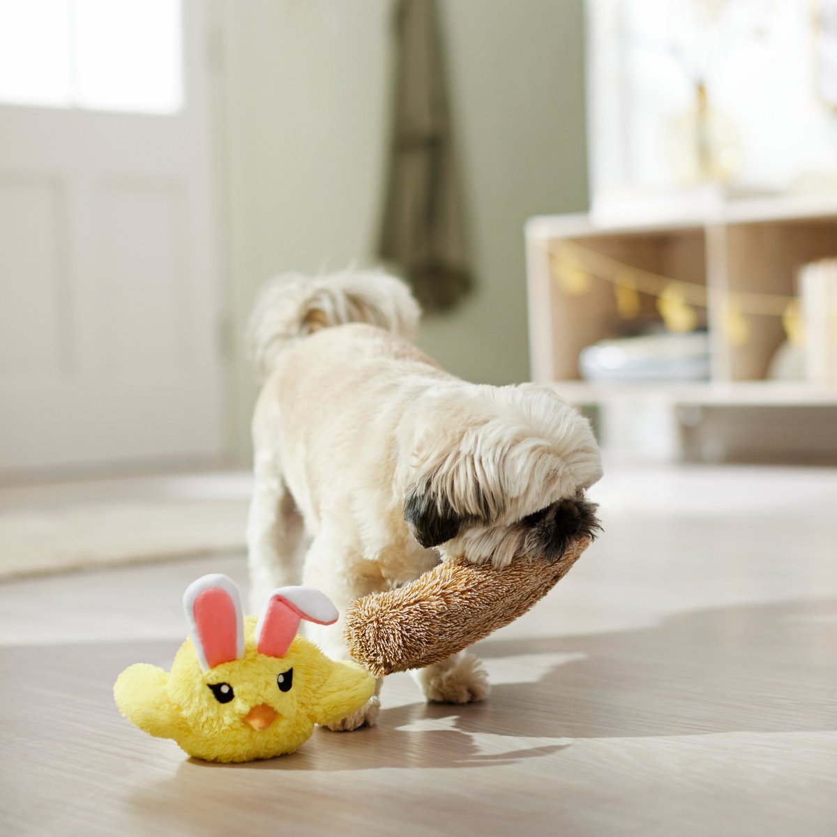 Frisco Chick in Nest 2-in-1 Plush Squeaky Dog Toy