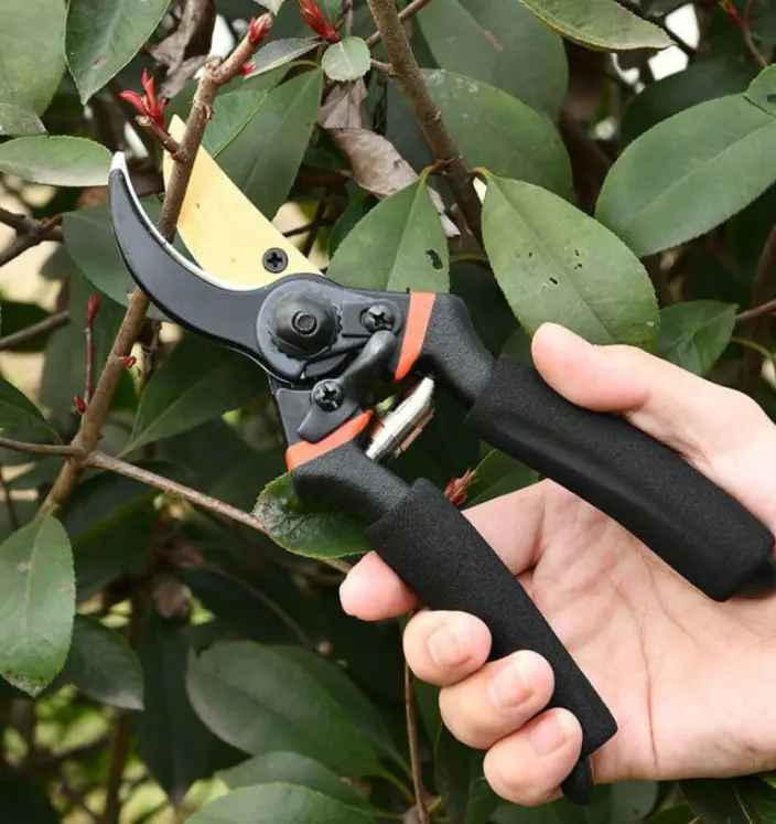 8 Inch Portable Rust Anti Sharp Heavy Duty Thicken Bypass Pruning Shears Hand Pruners Garden Clippers for Garden Flower Tree