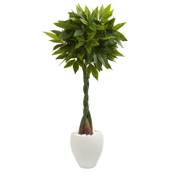 5' Money Artificial Tree in White Oval Planter (Real Touch)