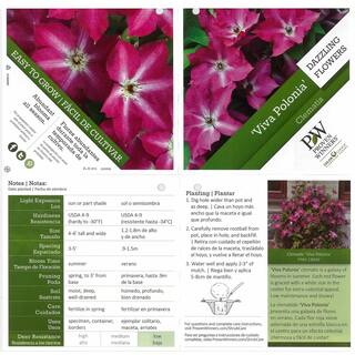 PROVEN WINNERS 4.5 in. qt. Viva Polonia (Clematis) Live Shrub Bush Red Flowers with a White Star CLMPRC1077800