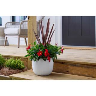 Vigoro 10 in. Amaliya Medium Textured White Plastic Planter (10 in. D x 8.1 in. H) HUPS00593N-10W