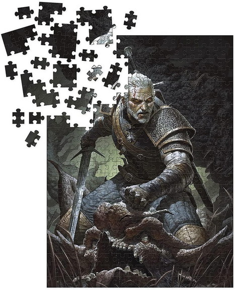 Dark Horse Comics DHC 3009 306 C The Witcher 3 Ger...