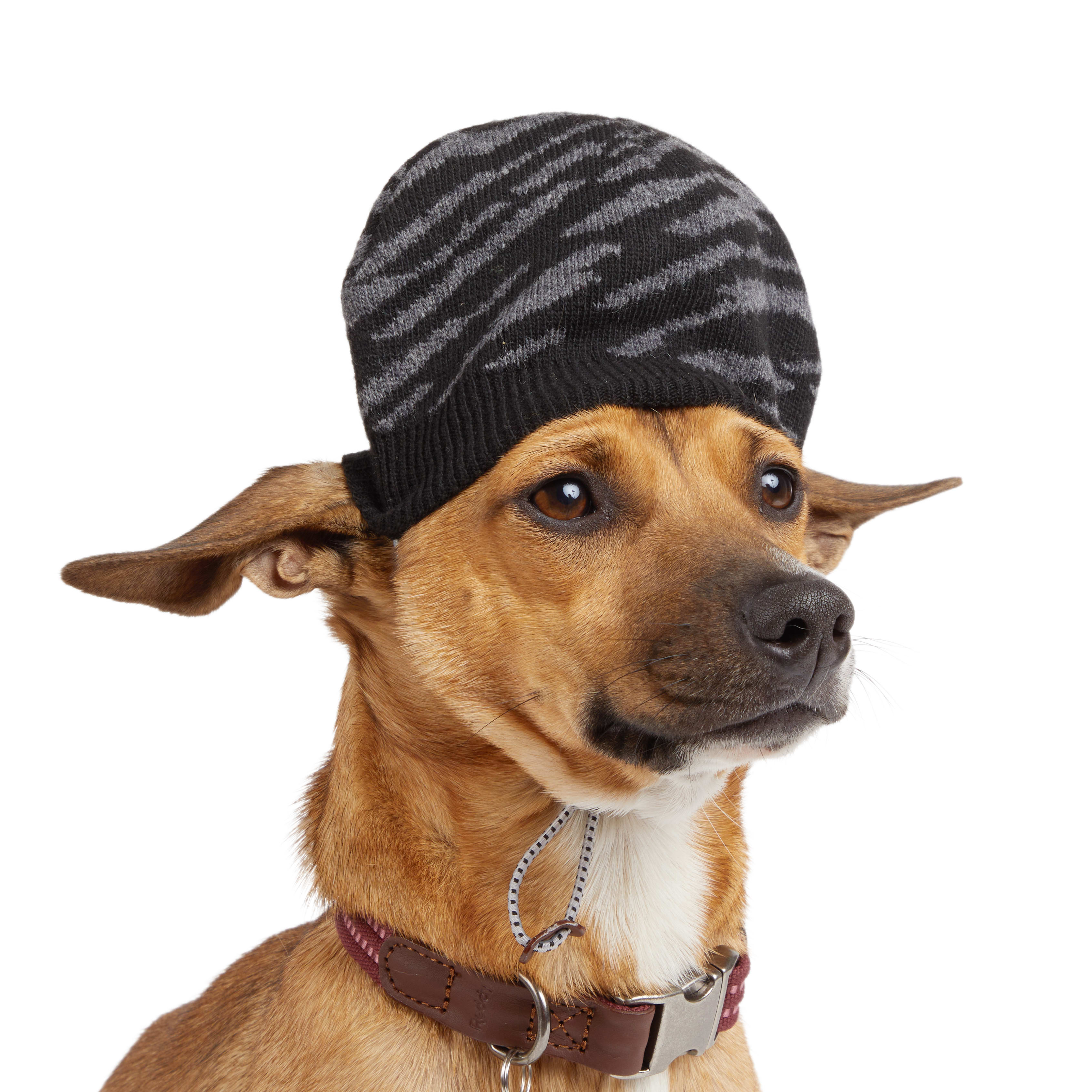 Reddy Black Beanie for Dog， X-Small/Small