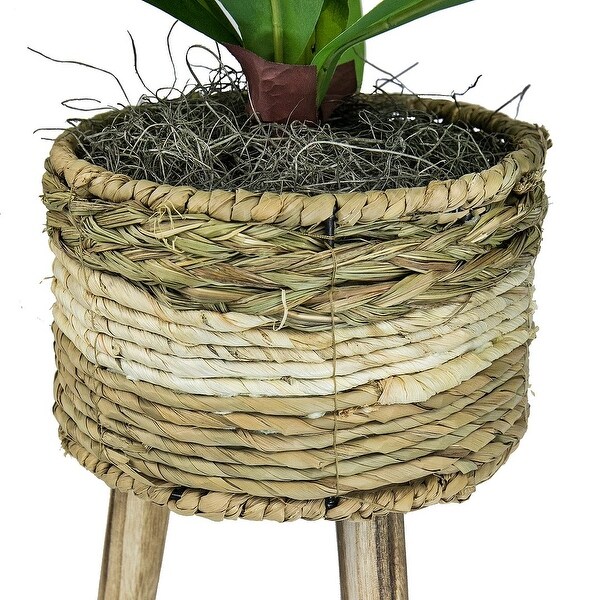 24inch Artificial Dracaena Plant in TriColor Basket Stand