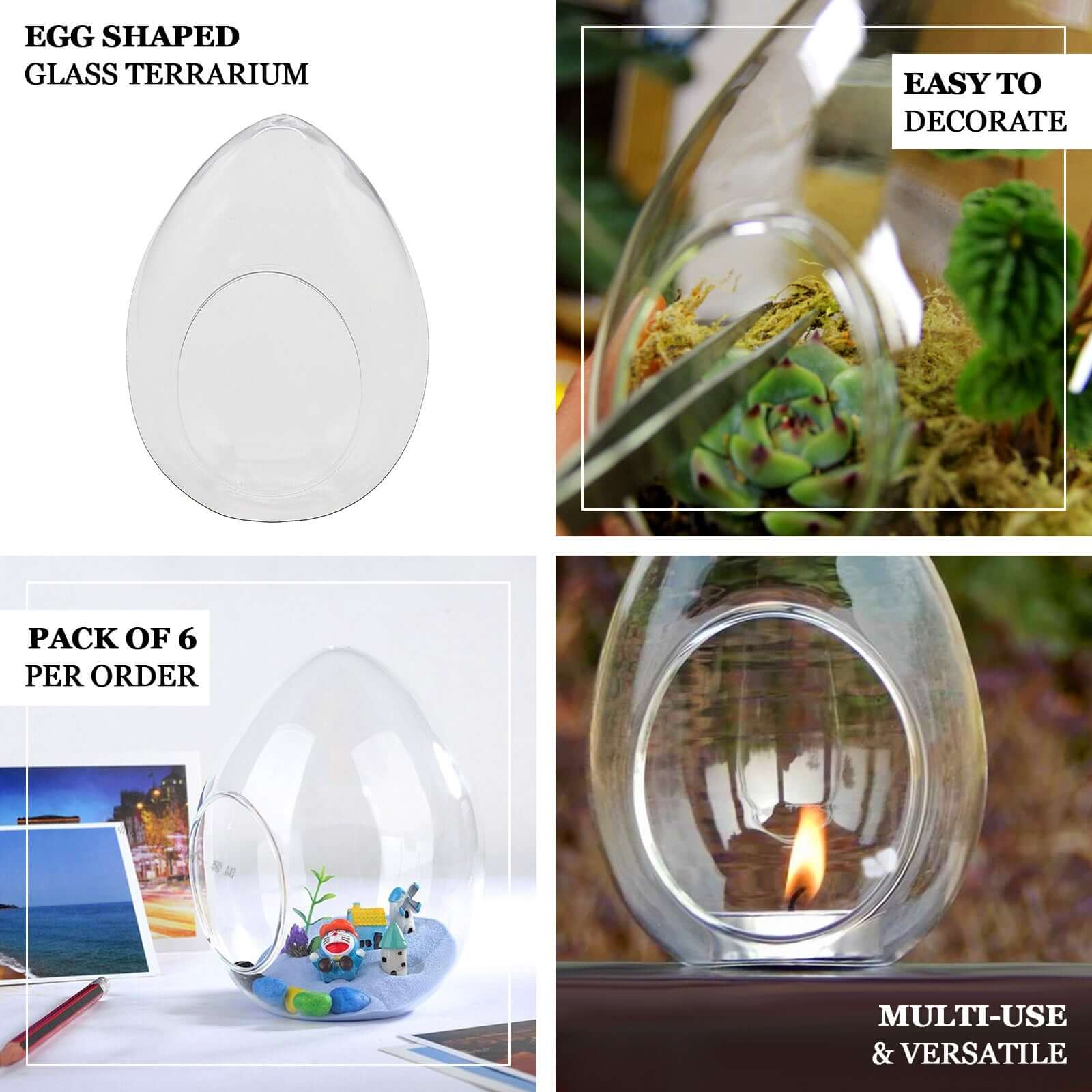 6 Pack Air Plant Glass Egg Shaped Terrarium Self Standing Planter 5