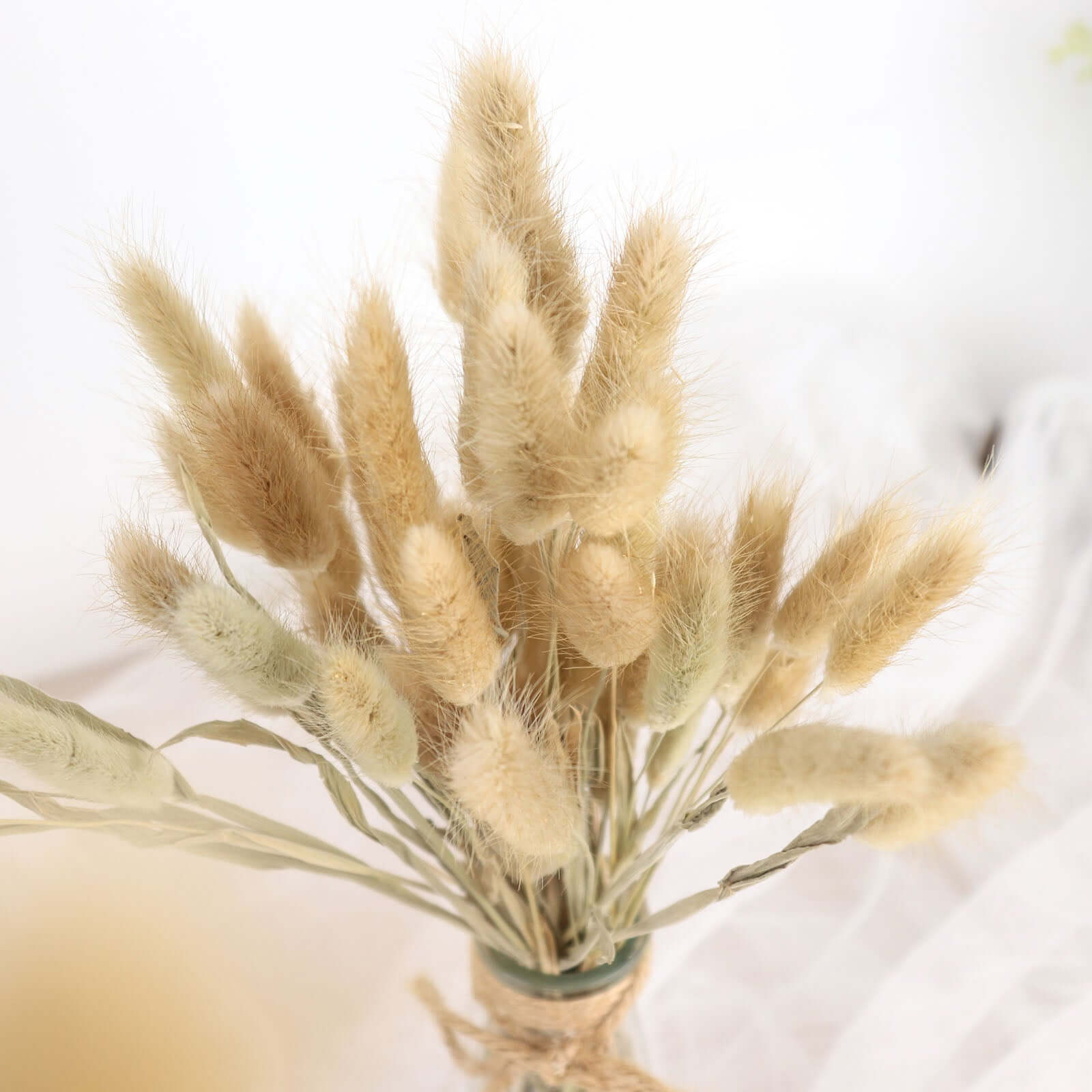 50 Pack Natural Rabbit Tail Dried Pampas Grass Flower Bouquets, Boho Stem Arrangements 15