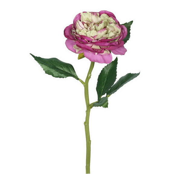 Vickerman 13 Peony Rose Stem 6/pk