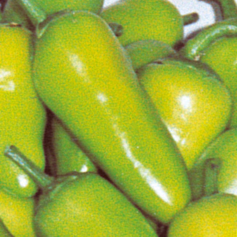 Bonnie Plants 19 oz. Fresno Chili Hot Pepper Plant 2905