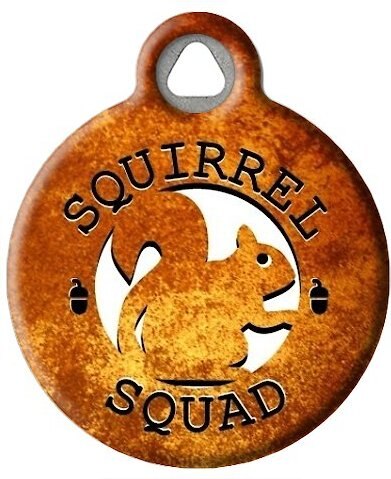 Dog Tag Art Squirrel Squad Personalized Dog and Cat ID Tag