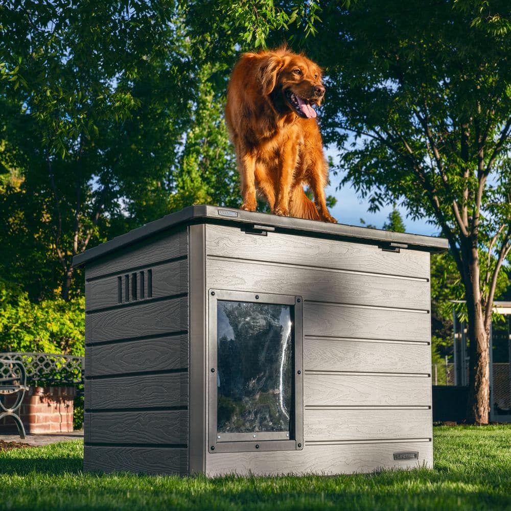 Lifetime Large Deluxe Dog House 60328