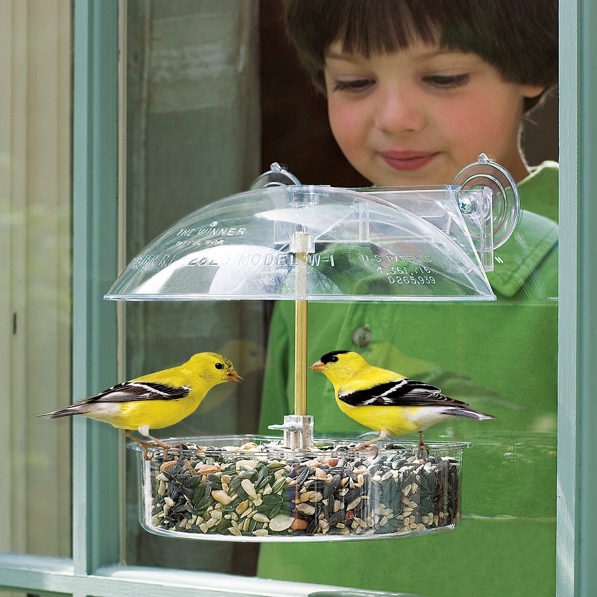 Droll Yankees The Winner Window Bird Feeder， 8-in