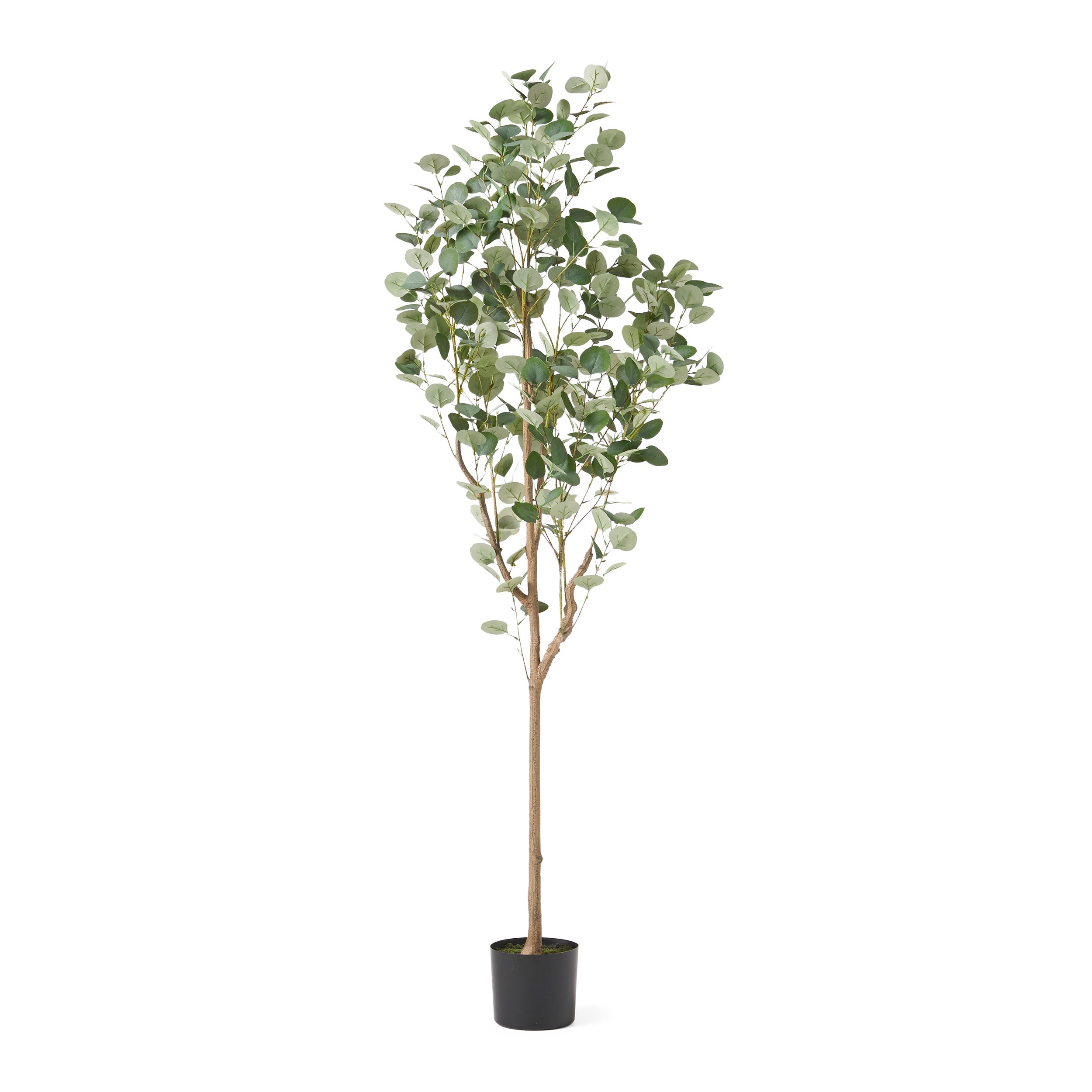 Davos Artificial Eucalyptus Tree