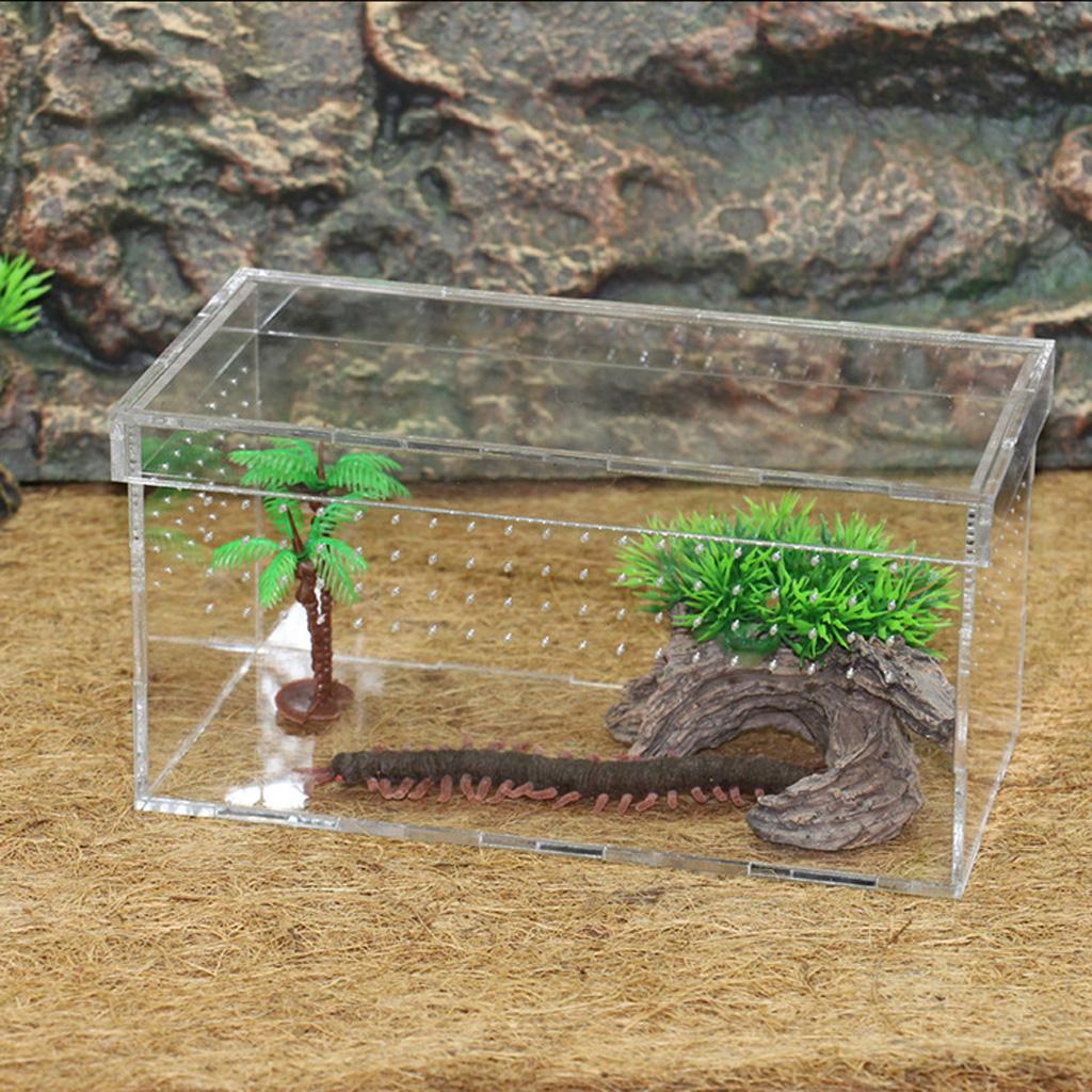 Acrylic Reptile Feeding Tank for Spiders Breeding Box